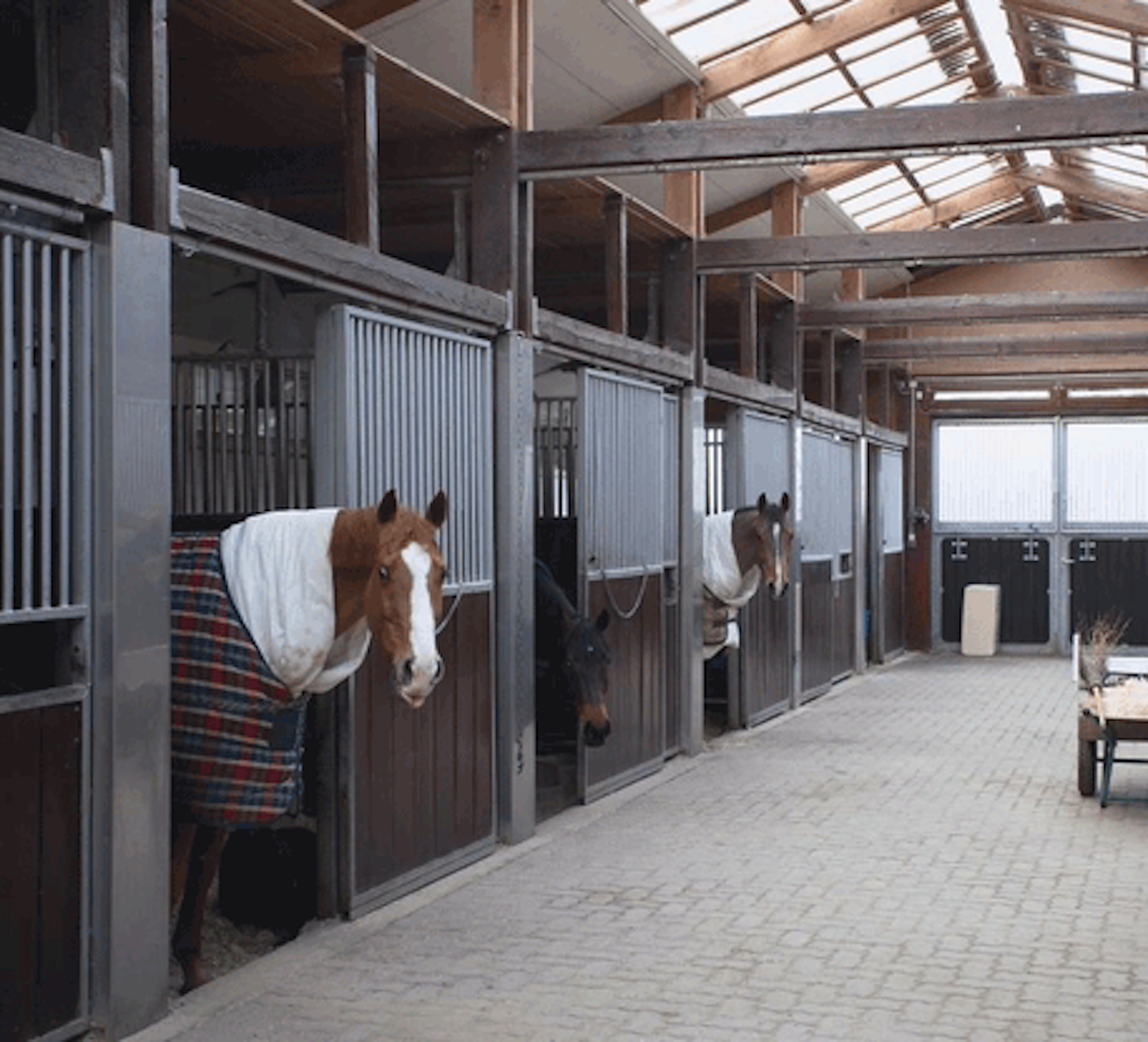 Forbes Professional Delivers the Optimum Equine Laundry Solution