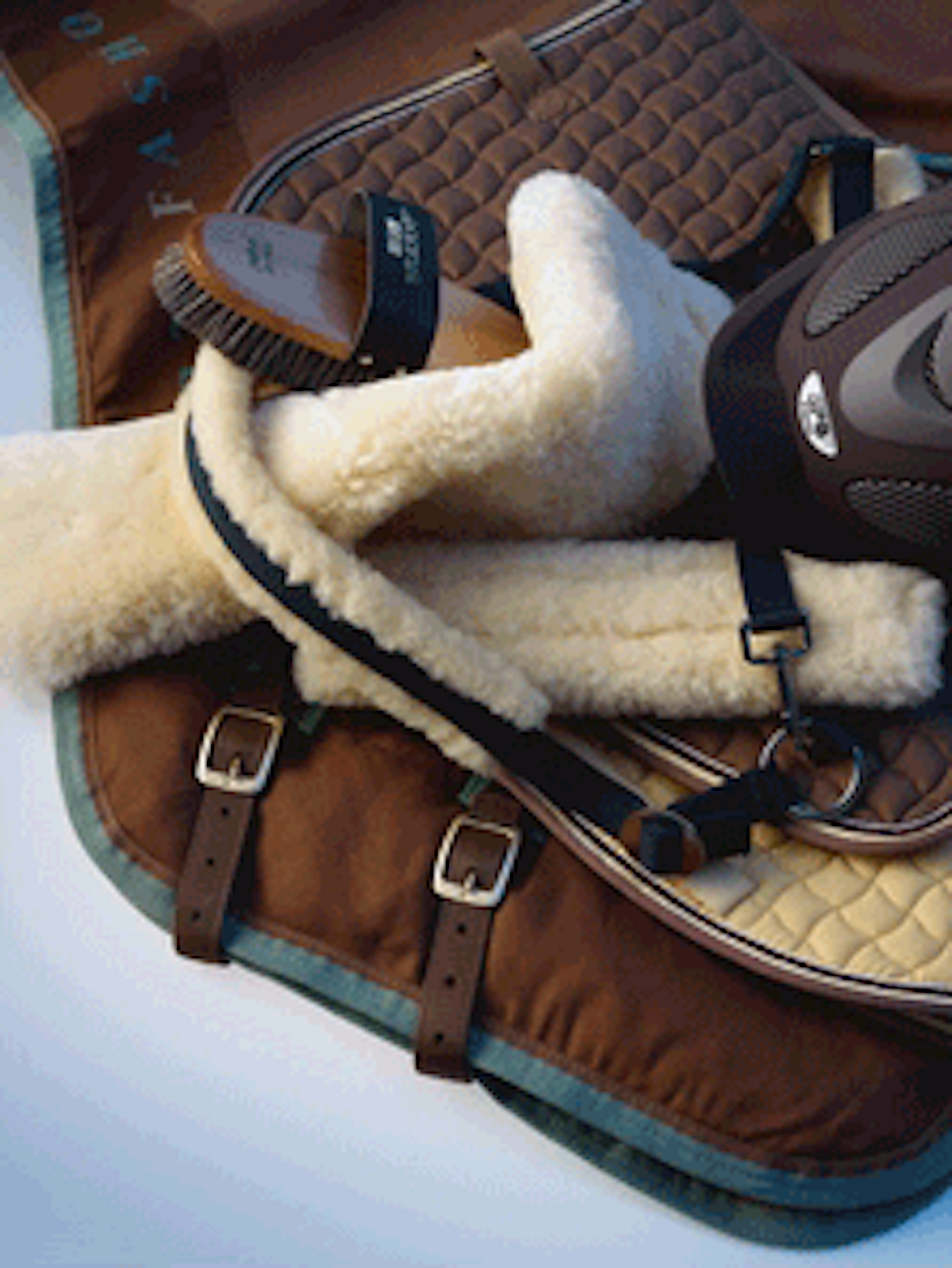 Horse Saddle