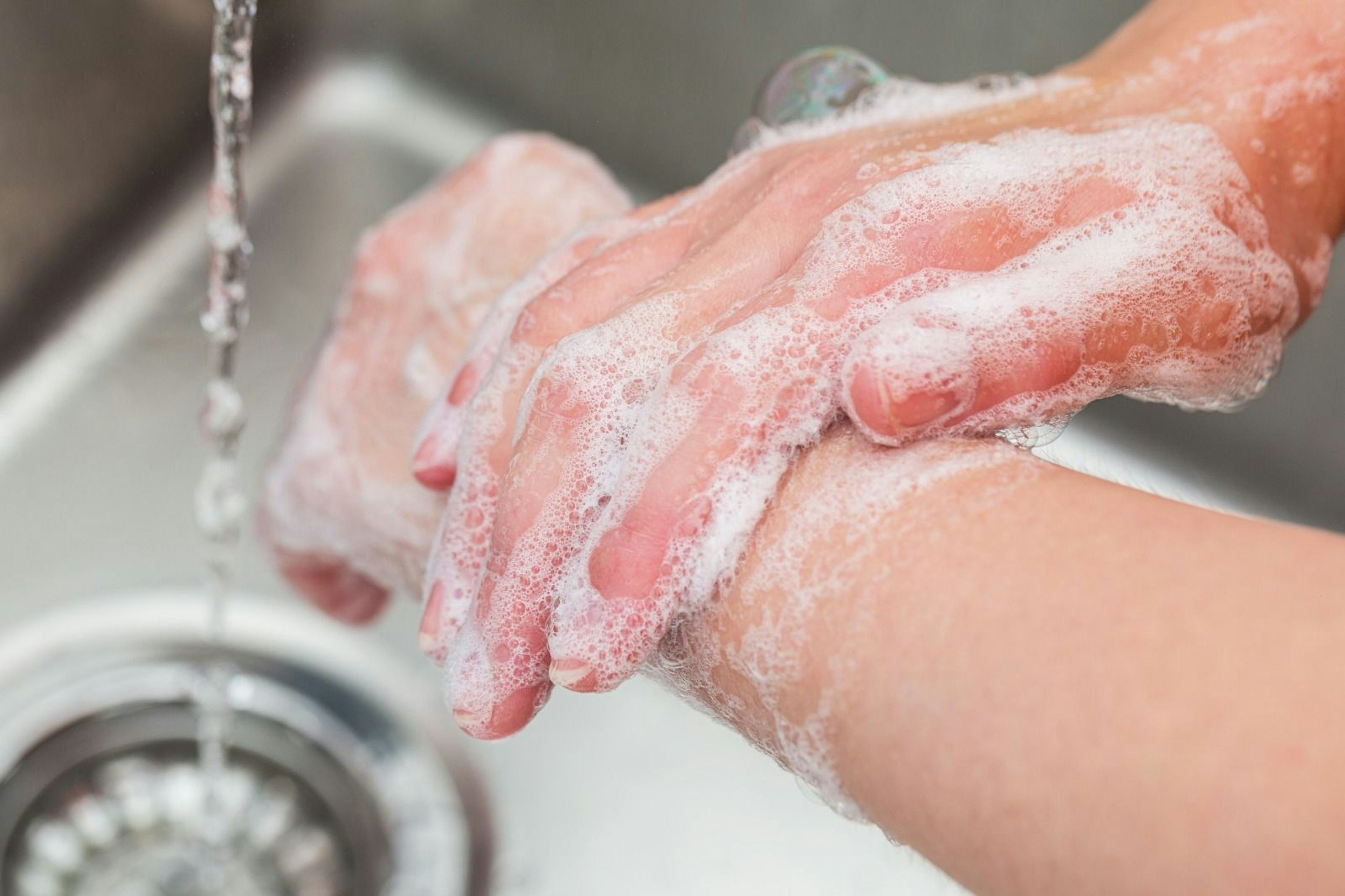 5 steps to establishing an effective infection control plan within a care home.